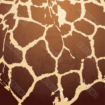 giraffe pattern