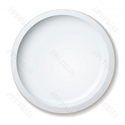 dinner plate