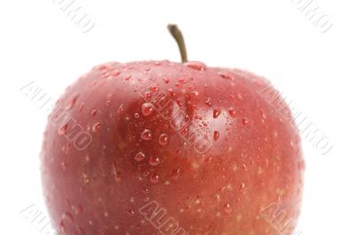 Red apple closeup