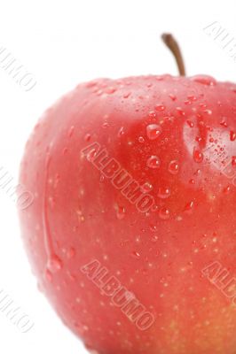 Red apple macro