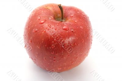 Red apple on white