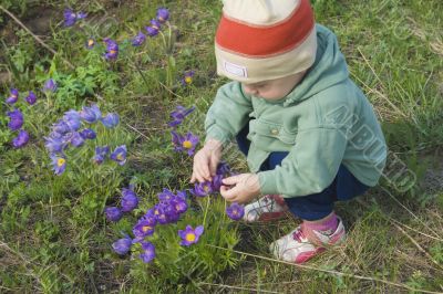Small boy is playing with flowers