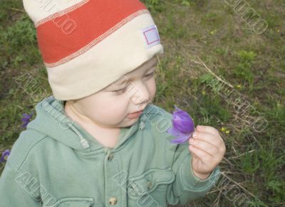 Small boy is having good look at blue flower