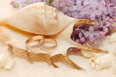 Still-life of a cockleshell with wedding rings and a lilac