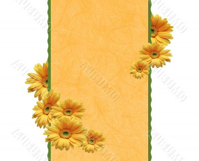 Framework with chrysanthemums