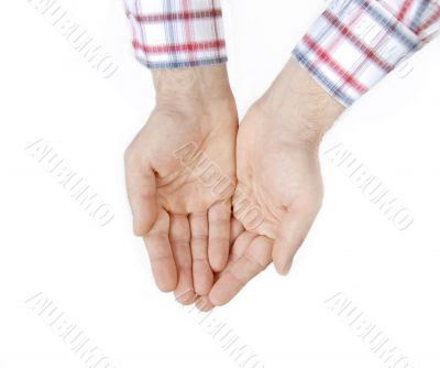 Two hands over white