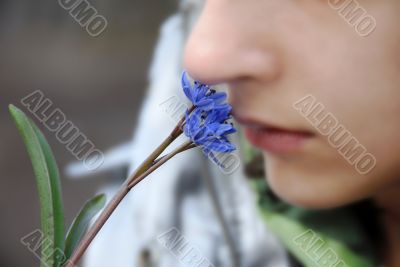 blue spring flowers