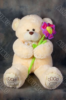 Teddy bear with flower