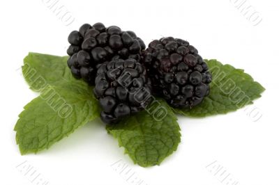 Blackberry on peppermint sheet