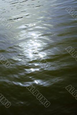 Sunny water surface