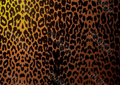 leopard skin
