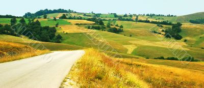 rural  landscape