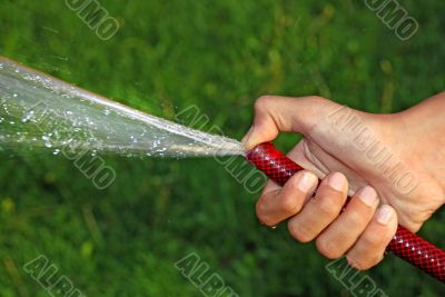 Watering grass