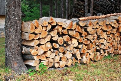 Wood pile