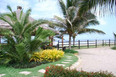 Tropical garden in the beach