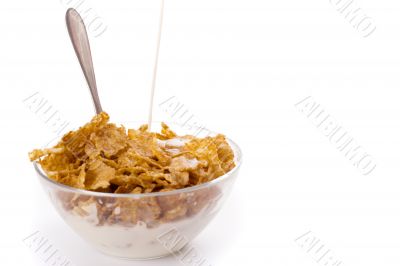 cornflakes