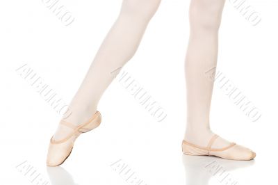 Ballet Feet Positions