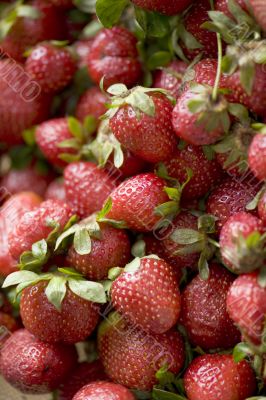 strawberries close up