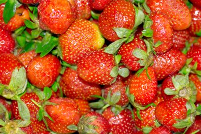 strawberries macro