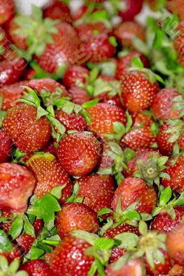 strawberries
