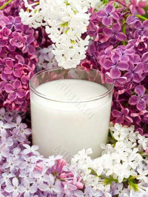 milk and lilac