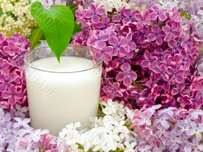 milk and lilac