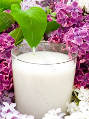 milk and lilac