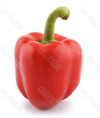 Red pepper