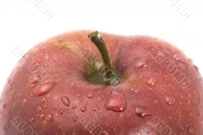 Fresh Red apple macro