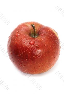 Fresh Red apple