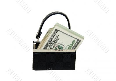 Purse full of money