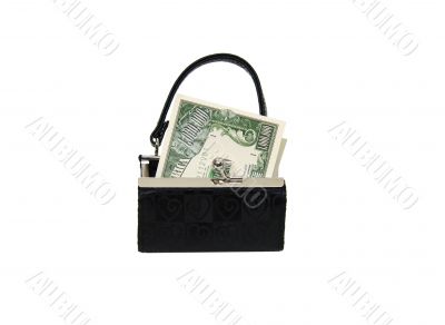 Purse with big bucks