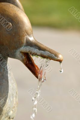 Fountain details