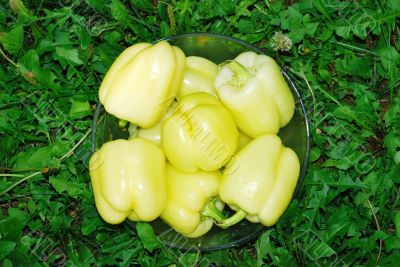 Paprika in glass bowl
