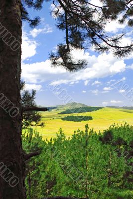 Rural landscape