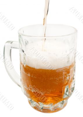 Beer mug