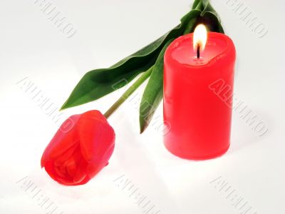 A present for the holiday