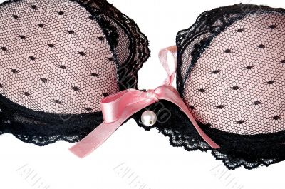 Sexy bra