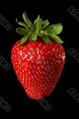 Strawberry on a black background