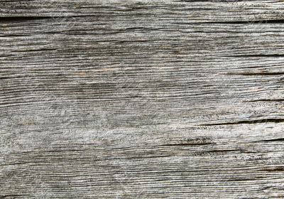 Old gray cracked wooden horizontal background