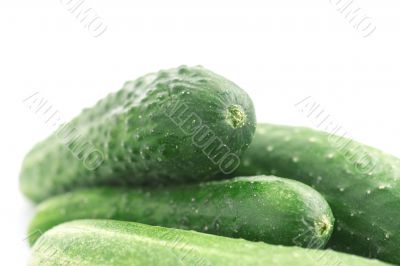 cucumber closeup