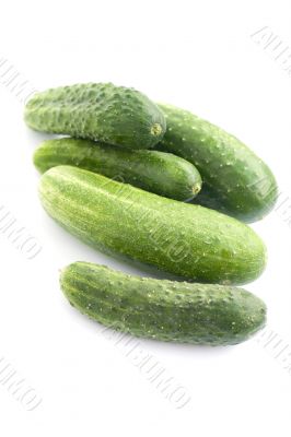 cucumber