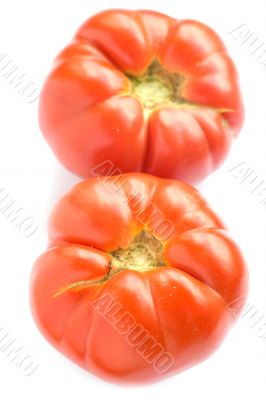 Two tomato on white background