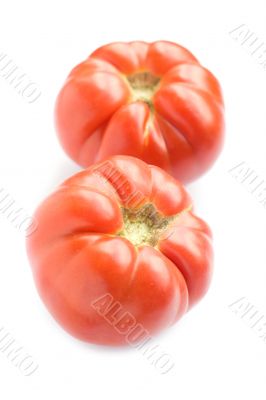 Two tomato on white