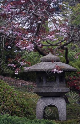 Sakura and sculpture