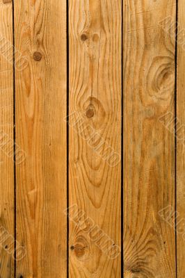 Wood texture