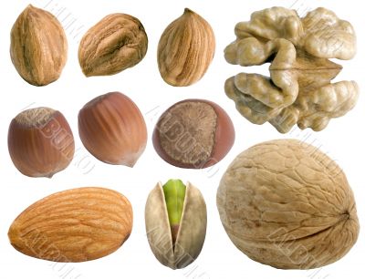 Nuts set.