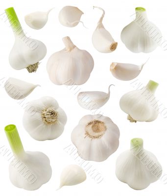 Garlic bulb set.