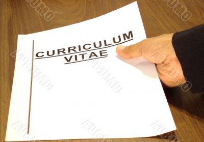 curriculum vitae 10609