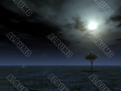 full moon